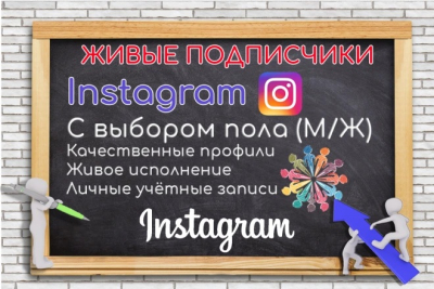 Botsiz Instagram profiliga 250 ta jonli obunachi