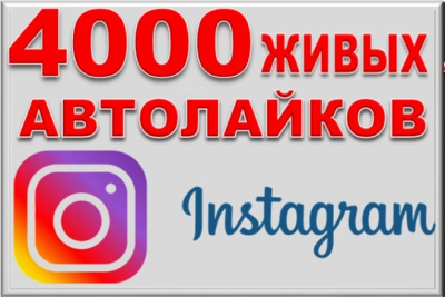 Jonli akkauntlardan Instagram-ga 40 ta sharh + BONUS